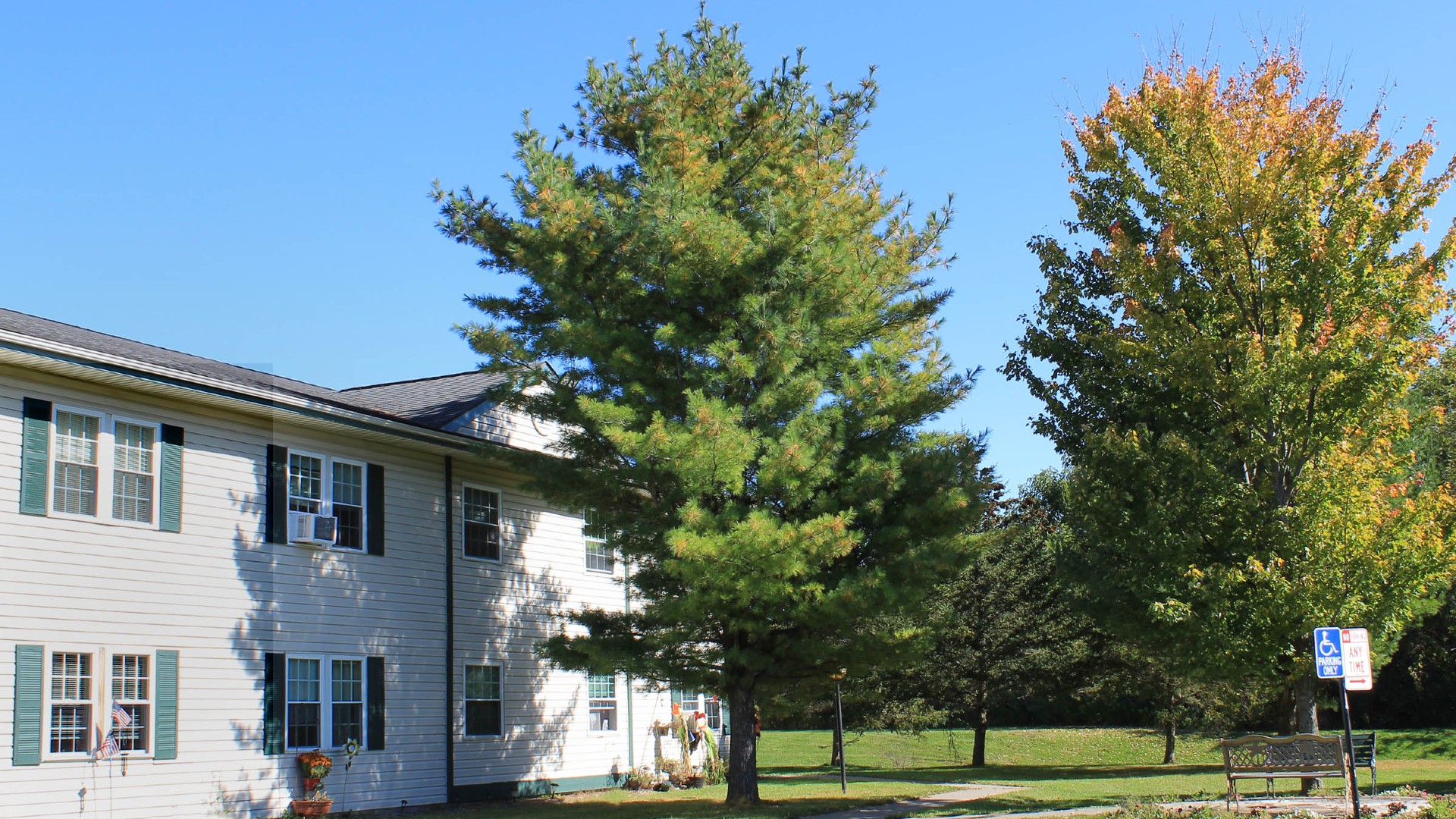 senior apartments near tully ny image of the meadows senior apartments street view from two plus four management