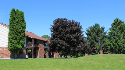 apartments near auburn ny auburn heights rear building thumbnail