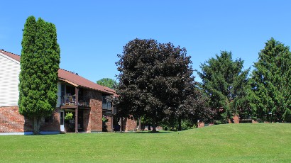 townhouses near auburn ny thumbnail image of the yard view for auburn heights family apartments from two plus four construction
