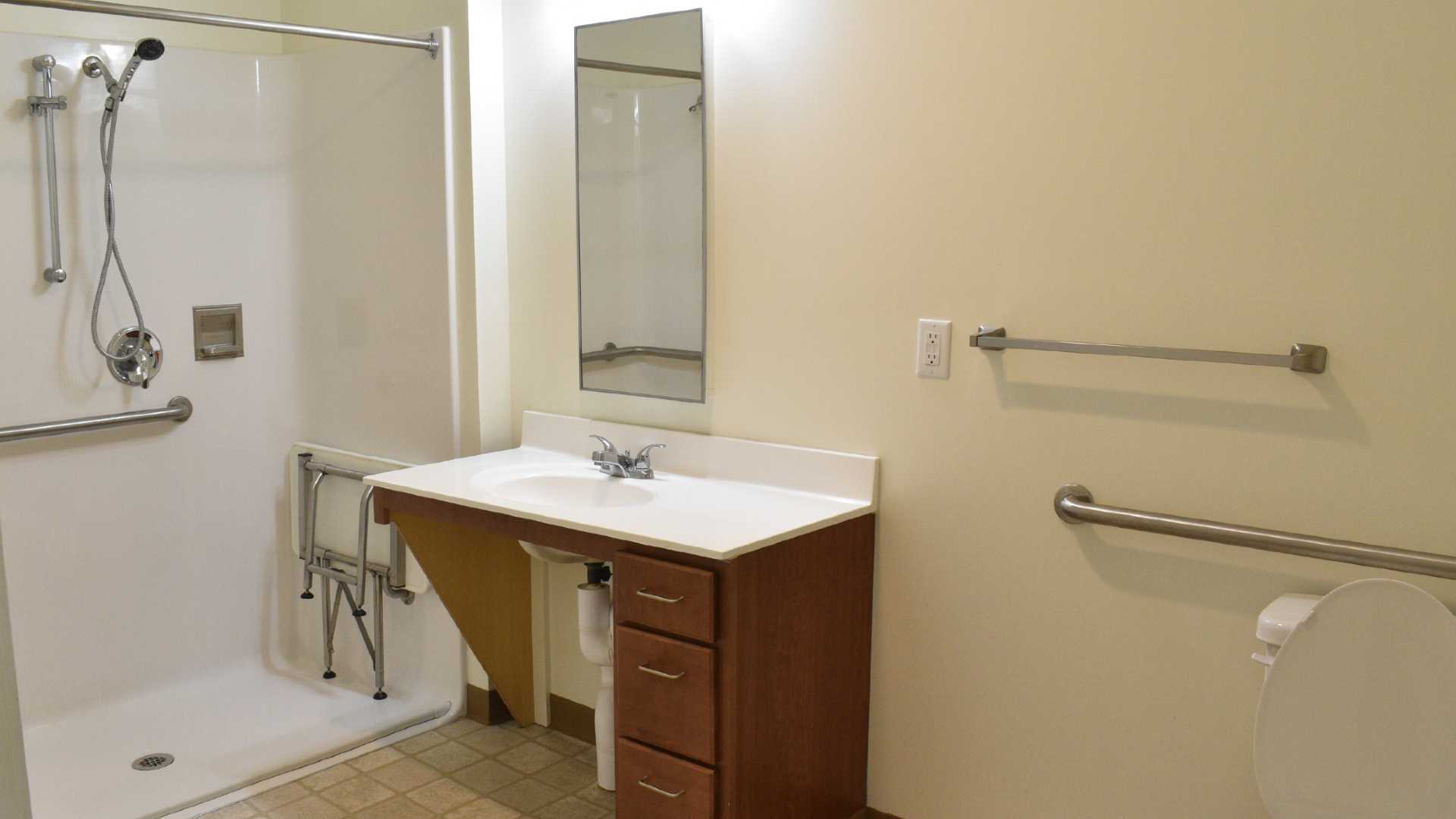 townhomes and senior apartments view of the bathroom at island hollow in cicero ny