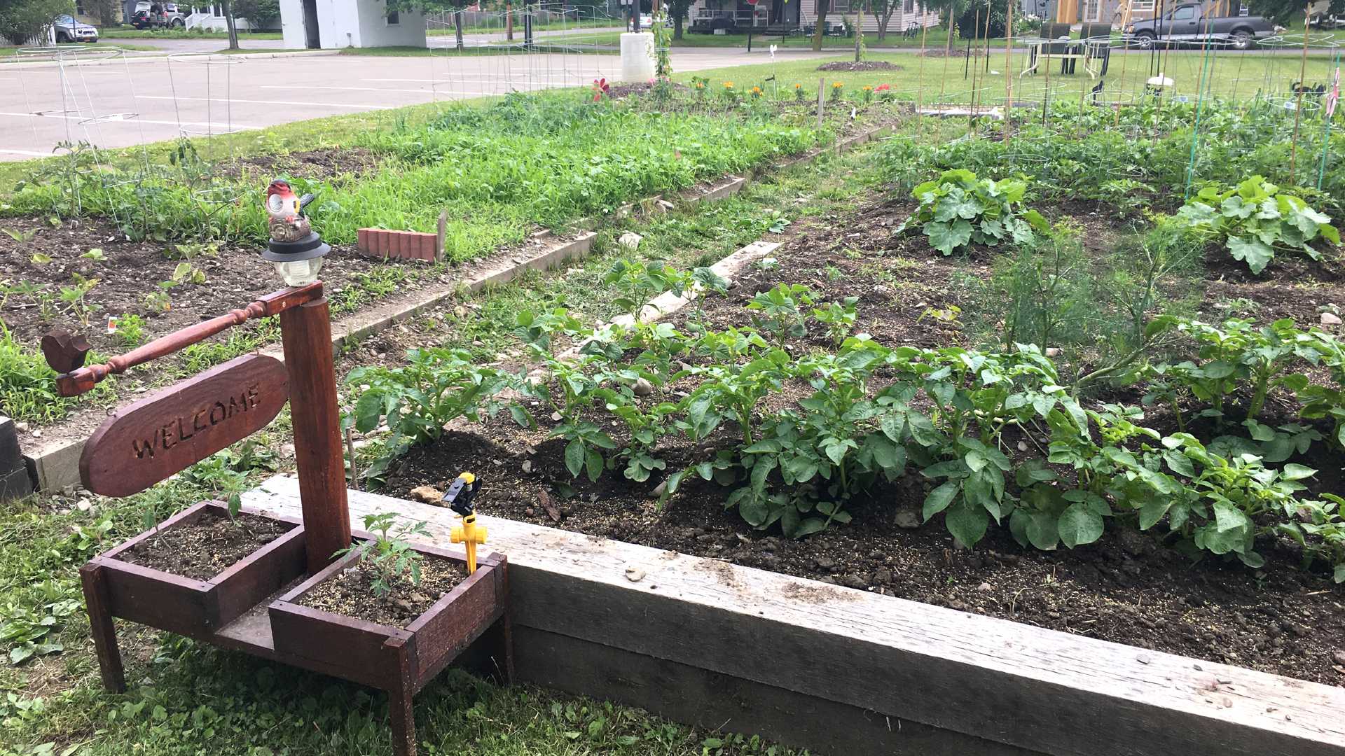 Senior Apartments near Watkins Glen NY image of watkins glen school apartments community room garden from two plus four management