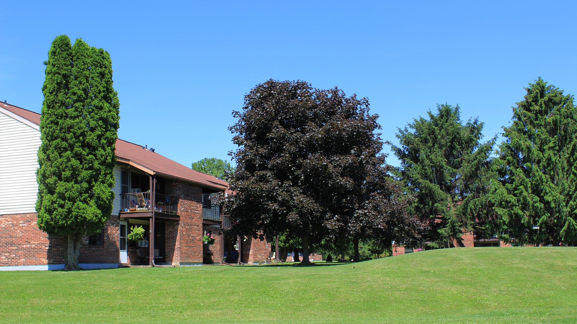 townhouses near auburn ny image of the yard view for auburn heights family apartments from two plus four construction
